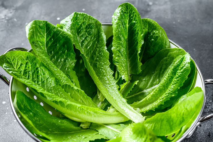 6 món ăn giúp tăng collagen cho cơ thể 